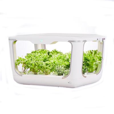 China Small Automatic Hydroponic Growing Systems Indoor With Led Grow Light for sale