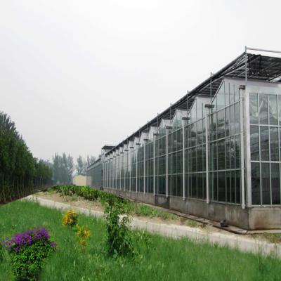 China Stable Structure Easily Assembled Commercial Glass Greenhouse Tomato Home Multi-span Agricultural Greenhouses Plant Tomato Vegetable Fruits Flowers KINGSCHAN for sale