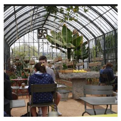 China Eco-friendly.ecological industrial indoor polytunnel greenhouse for sale for sale