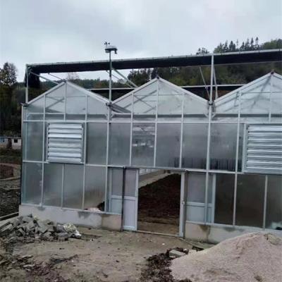 China Eco-friendly.ecological multi span agricultural glass greenhouses for vegetable growing for sale