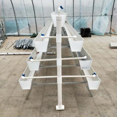 China Eco-friendly Deep Water Cultivation For Hydroponic Strawberry Fruit Growing Systems for sale