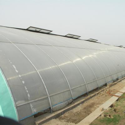 China Anti Aging Light Deprivation Blackout Greenhouse for sale