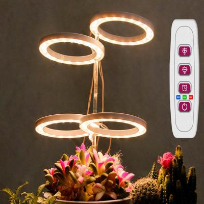 China Seed Starting Indoor Plants 2021 Best Par Bred Commercial Farming Led Ring Lamp Custom 1000w Dimmable Full Spectrum Led Ring Grow Light for sale