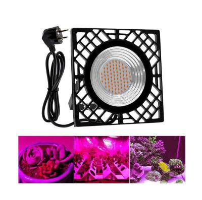 China Seed Starting Professional Manufacture Cheap Full Spectrum Led Growing Light For Indoor Plant for sale