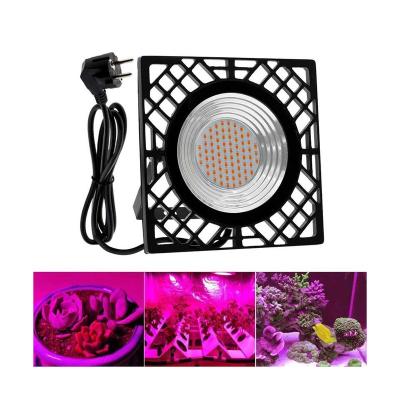 China Seed Us Starting To Plug In Switch Rope 2021 Grow Light Plant Led Growing Lights For Indoor Plants for sale