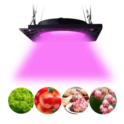 China Seed starting 50 watt lm301h Redfarm UVA UVA full spectrum 36W T8 full tube spectrum blue UFO led grow light for indoor plant for sale