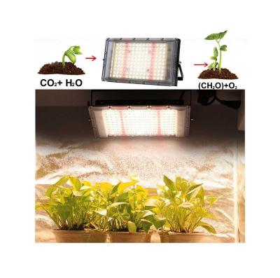 China Seed Starting Plant Sell Best Widely Used Grow Light 2021 Plant Grow Light Indoor for sale