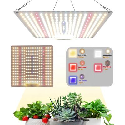 China Seed Starting Newspectrum Indoor Plant 100W 65W Full Spectrum LED Panel LED Grow Light Panel Grow Lights IR UV Lm301b for sale