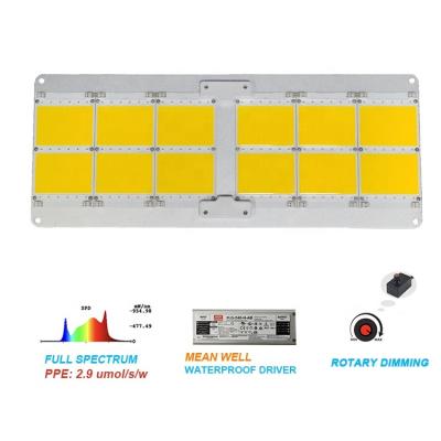 China Seed Starting Newspectrum 2021 LED Grow Light Full Spectrum COB Panel LM301b 120W 240W 480W Plant Grow Light For Indoor Hydroponics Plants for sale