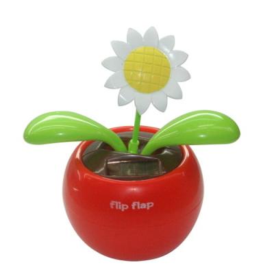 China Flip Flap Flower for sale