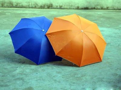 China Folding umbrella for sale