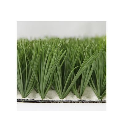 China AVG Manufacture Durable Golden Outdoor Ornamental Grasses To Garden E635218SDQ1124B for sale