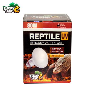 China Viable R80 80W Mini Reptile UVB Mercury Vapor Bulb for sale