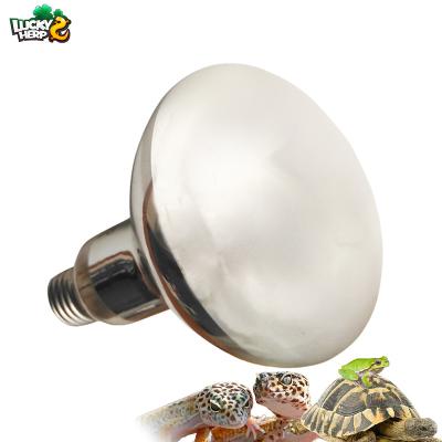 China High Quality Wholesale Custom Cheap UVB Mercury Vapor Bulb Reptile Viable 80W 100W 125W 160w for sale