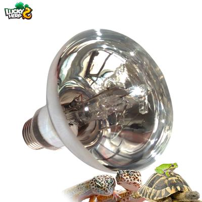 China Wholesale 80W 100W High Quality Viable Mercury Vapor Bulb 5000h Custom UVB Bulb for sale