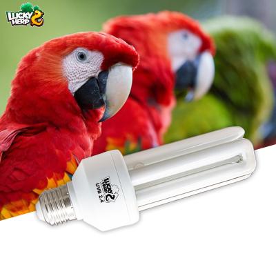 China Viable High Quality Wholesale Custom Cheap 20W 2.4 UVB Fluorescent Bird Lamp Light for sale