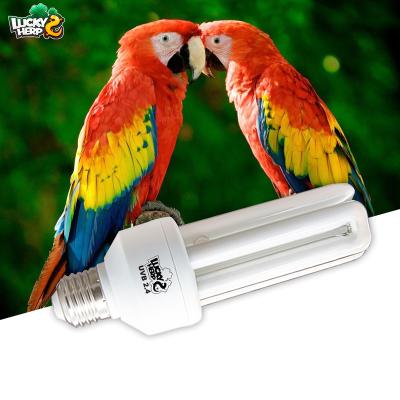 China High quality and cheap viable price 20W 2.4 UVB fluorescent lamp for captive birds for sale