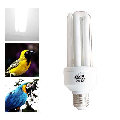 China Viable UVB Bird Lamp, 2.5 UVB, ETL for sale