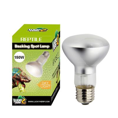 China 25w 50w 75w 100w Spot Heat Lamp Sustainable Infrared Basking Bulb Light For Reptiles for sale