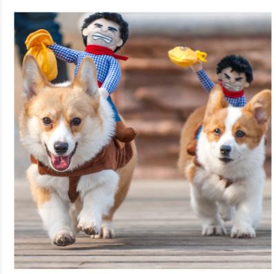 China LEISURE Amazon Wear Transformation Corgi Teddy Cowboy Rider Pet Hat Creative Cute Pet Riding Apparel for sale