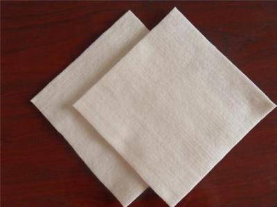 China Polypropylene Geotextile Fabric , Short Fiber Non Woven Geotextile For Protection for sale