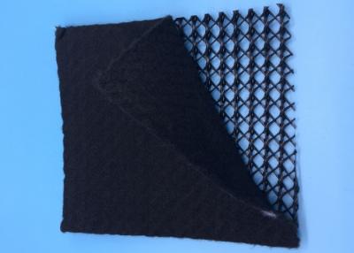 China Landfill Drainage Geocomposite Drainage Net 3D Geonet Composite Geotextile for sale