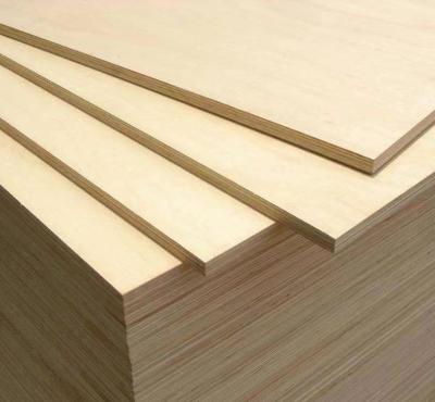 China High Grade Building Materials Contemporary Timber B/BB BB/CP Birch Plywoods For Home for sale