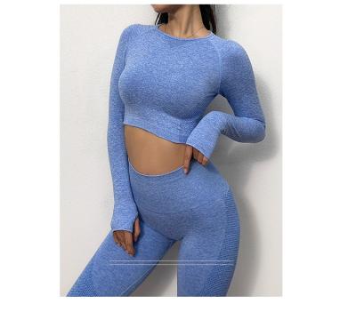 China Breathable Custom Seamless Yoga Sets For Women Fitness Sportswear Gym Gaiters Long Sleeve 2 Pcs Activewear Suits for sale