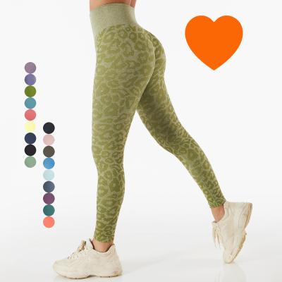 China 2022 Seamless High Elasticity BCK6135 Breathable Leopard Printing Leggings Sports Women Fitness High Waist Yoga Pants Workout Athletic Leggings for sale