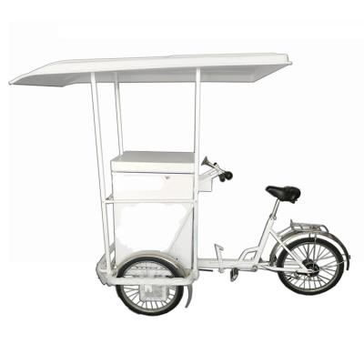 China 2022 Waterproof New Type Ice Popsicle Cool Box With 108L Tricycle With Ice Pack for sale