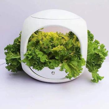 China Hydroponic Easy Growing Planting Machine To Beautify The Environment for sale