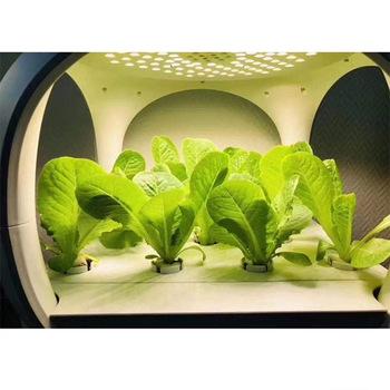 China Automated Easy Growing To Purify Indoor Air Hydroponic Planter With Hydroponic Growing Systems for sale