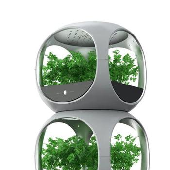 China JUDE&JS Easy Growing Planter Promote Air Humidity Grow Hydroponic Box In Home for sale