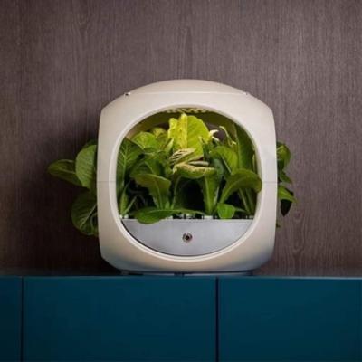 China New Style Oval Planter Oval Tower Planter Equipment Easy Growing Hydroponic Growing Plastic Decorative Pots for sale