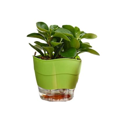 China Modern made in china high performance plastic wholesale flower pots and planters for sale