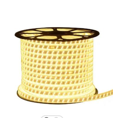 China Residential high quality flexible strip light IP65 SMD two line waterproof 2835 AC110V/220V led strip lamp for sale