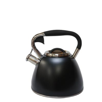 China Sustainable Whistling Stainless Steel Tea Water Kettle for sale