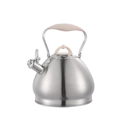 China 3.0L Viable Tea Kettle Stainless Steel Whistling Kettle 4.5L Tea Kettle With Color Painting for sale