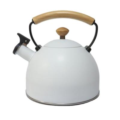 China Sustainable Coating 304 Color Stainless Steel Stove Top Whistling Kettle for sale