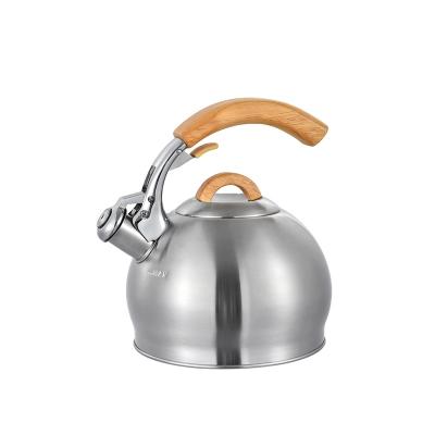 China Sustainable Kitchen Color Coating 304 Stainless Steel Stove Top Whistling Kettle for sale