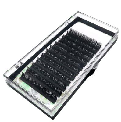 China Hot Selling Korea Eyelash Extension Lash Tray 2021 Popular Synthetic Hair 2021 Beautiful High Quality Extension Supplies for sale