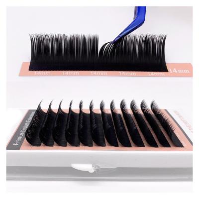 China Lash Extensions Factory Individual High Quality Synthetic Hair Eyelash Extension Make Your Own Label Eyelashes Box for sale