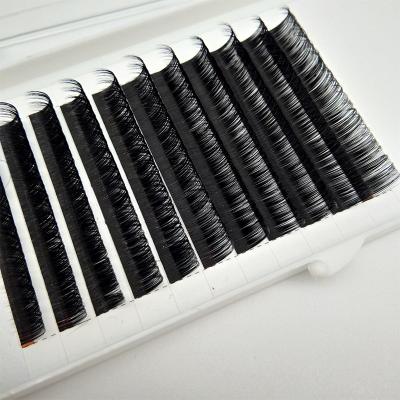 China Korean Best Seller Synthetic Eyelash Extensions Private Label Factory OEM/ODM False Hair Eye Lashes Extensions for sale