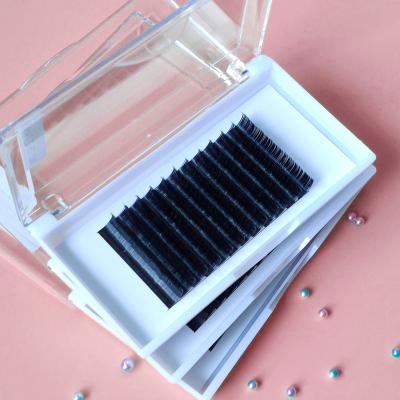 China Dark Black Mega Volume Eyelash Extensions Tray With 18 Super Volume Synthetic Hair Easy Fan Rows Highest Quality Easy Fan for sale