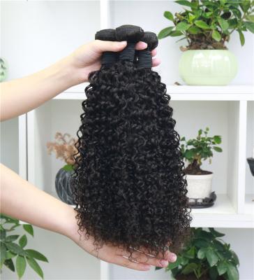 China Jerry Curly Cheap 100 Raw Indian Hair Extension Hair Bundle,Remy Natural Hair Extension,Vendor Raw Unprocessed Virgin Hair Indian Hair for sale