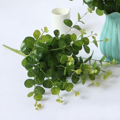 China Real minimalist high quality indoor home decoration dry greenery eucalyptus dry leaf for sale for sale