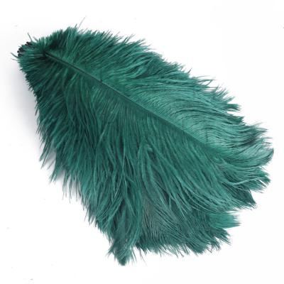 China Cheap Holiday Decorations Wedding Party Party Wall Decoration Bulk Large Dark Green Ostrich Feathers For Sale for sale