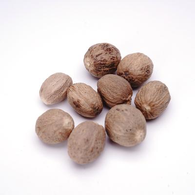 China Dried China spice wholesale Premium Quality 100% Organic Healthy Nutritious Dried Nutmeg for sale