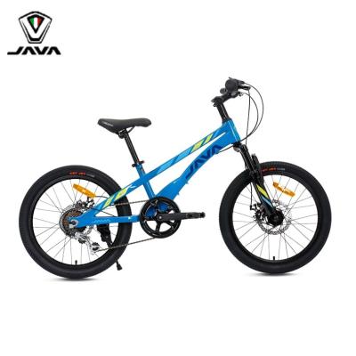 China Java Vertigo Factory Lightweight Kids Bike 20 Inch Disc Brake Travel Kids Bike Cheapest Hot Sale OEM Bike For Kids for sale