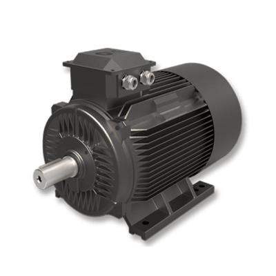 China explosionssicherer SPM Motor 220v 5.5-3000kw, IPM-Bewegungshersteller zu verkaufen